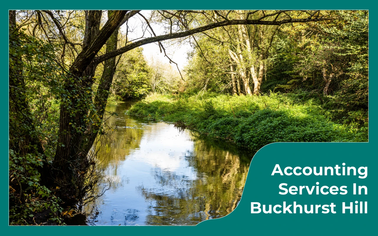 Professional Accounting Services in Buckhurst Hill