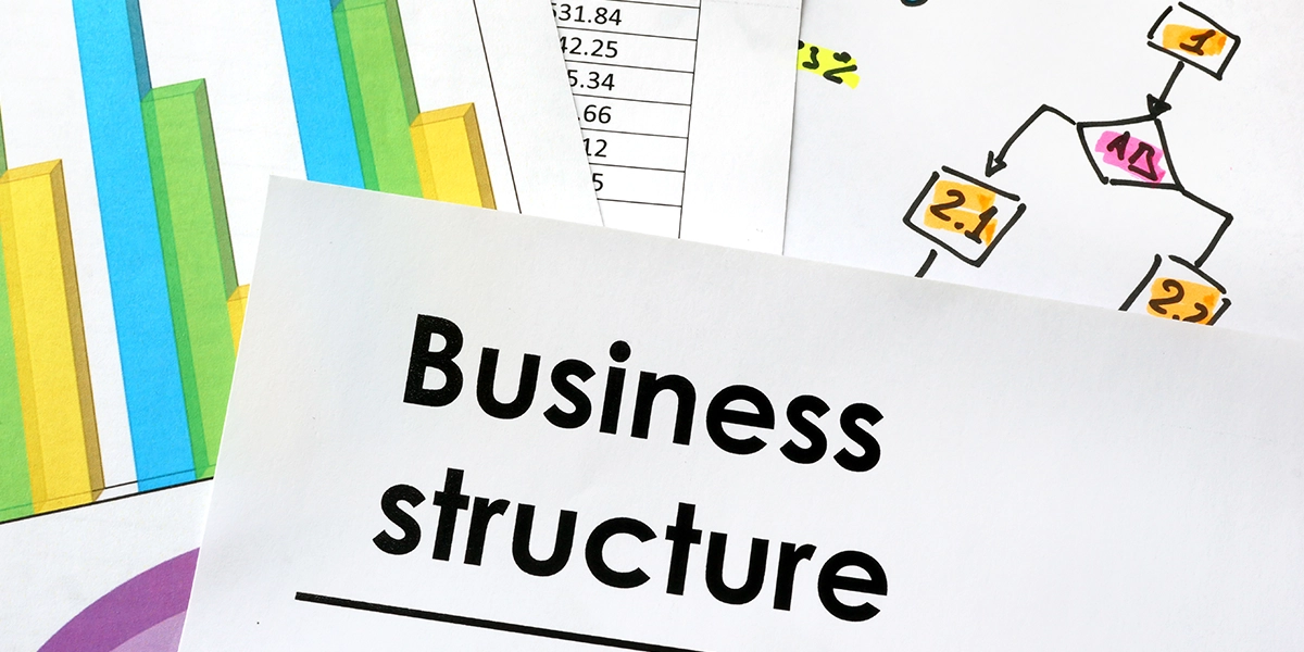 A document and charts outlining business structures and tax implications to help owners choose the right legal setup.