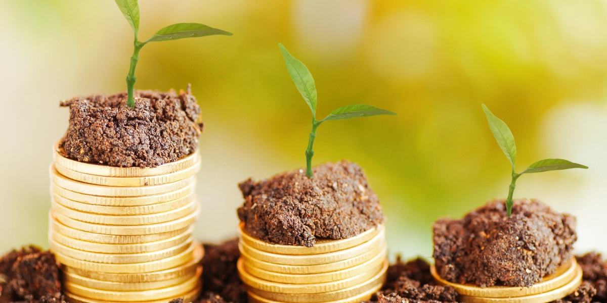 Capital Gains Tax on Farmland Sales: Planning Ahead for Rural Landowners