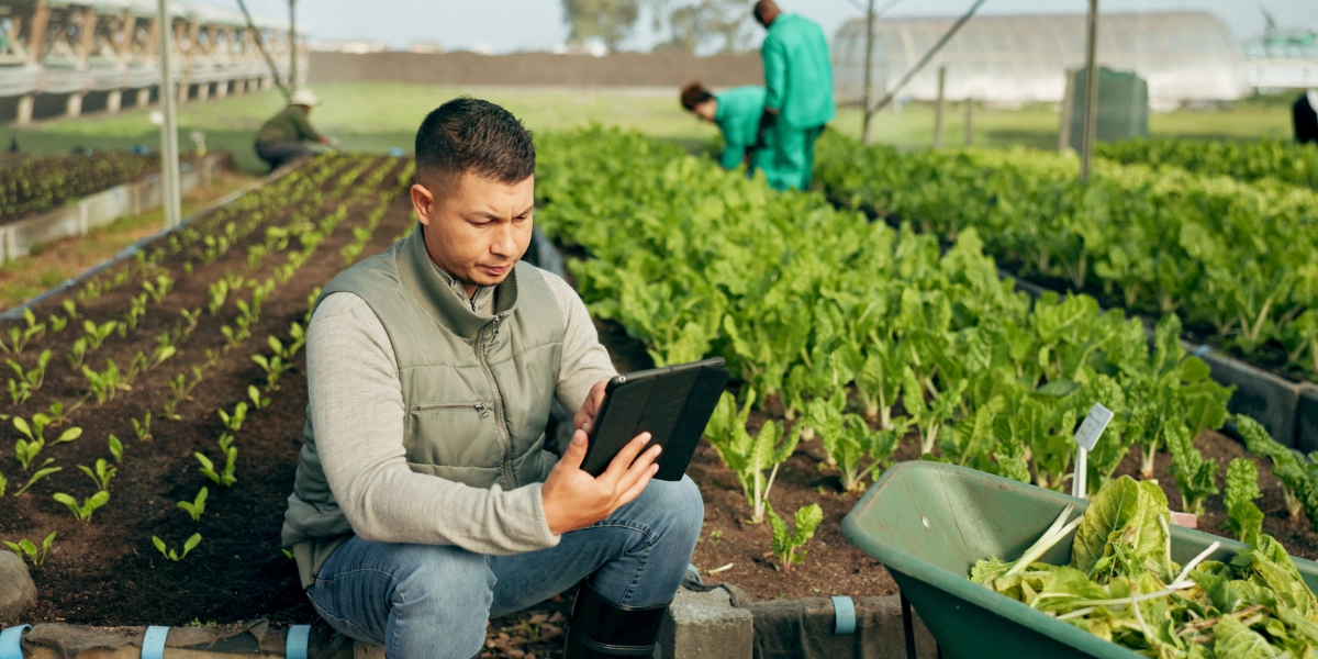 Practical Guide to Making Tax Digital for Agricultural Cooperatives