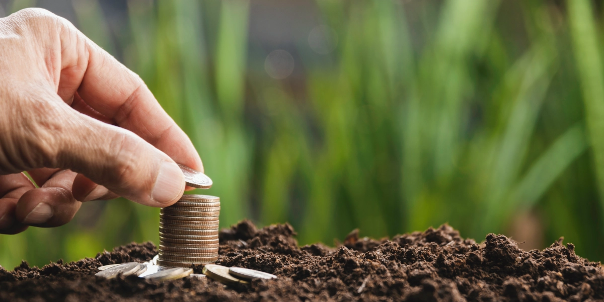 R&D Tax Relief for Farms: Claiming Innovation Credits on Crop Science and Breeding