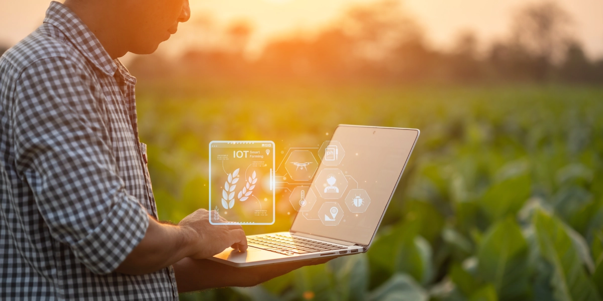 The Role of Cloud Accounting in Precision Farming and Data Analytics