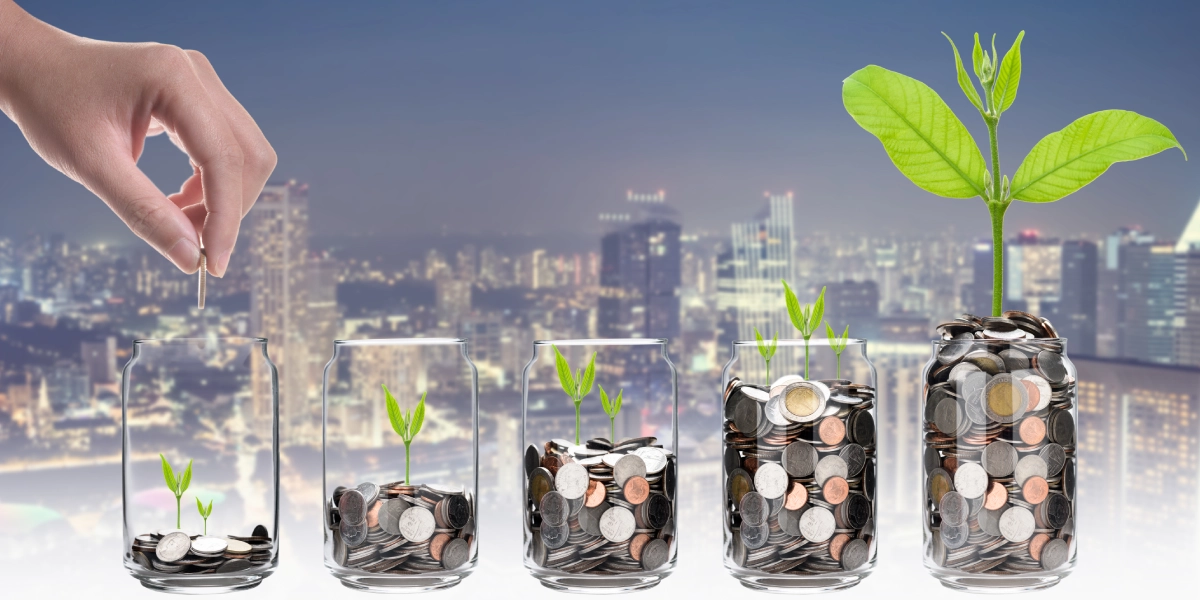 EIS and SEIS for Art Galleries: A Practical Guide to Attracting Investment