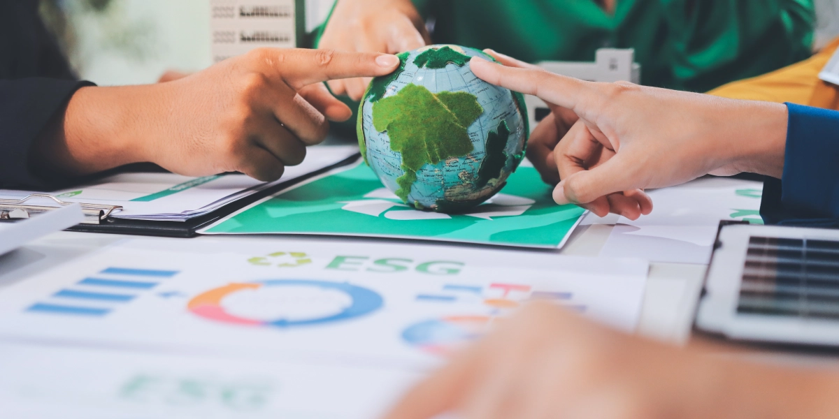 Why Virtual CFO Services for Conservation Organisations Are Essential in 2026